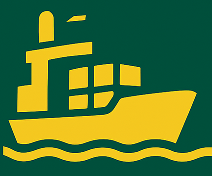 Health Insurance Icon